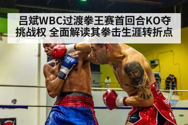 boxer knockout punch - 9game app